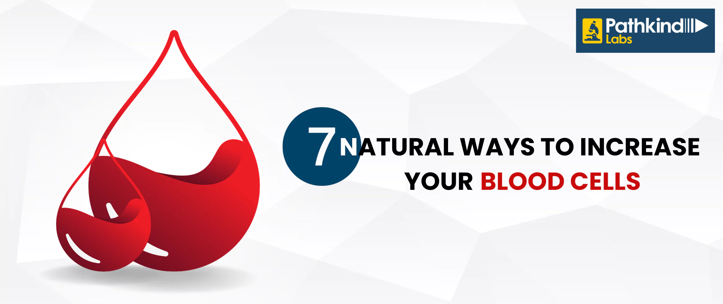 Natural Ways to Increase RBC, CBC, and WBC