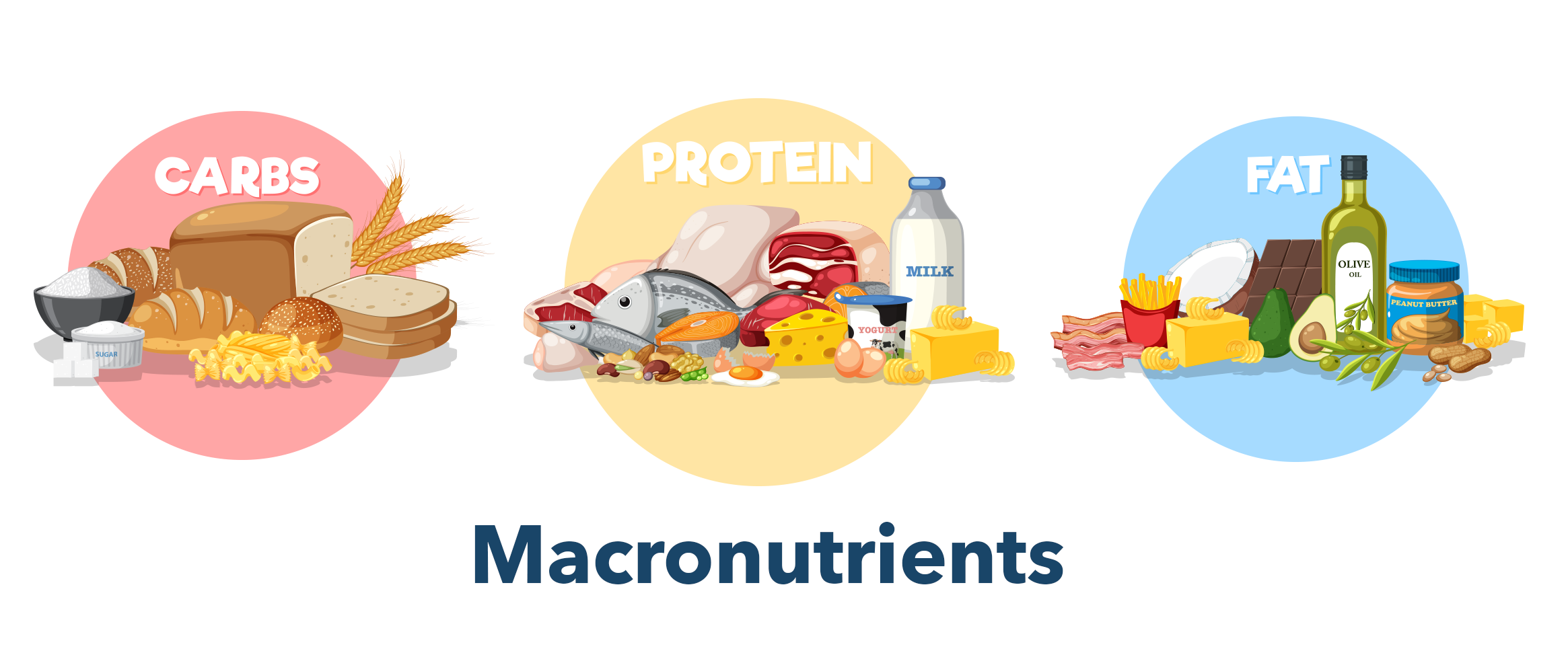 macronutrients