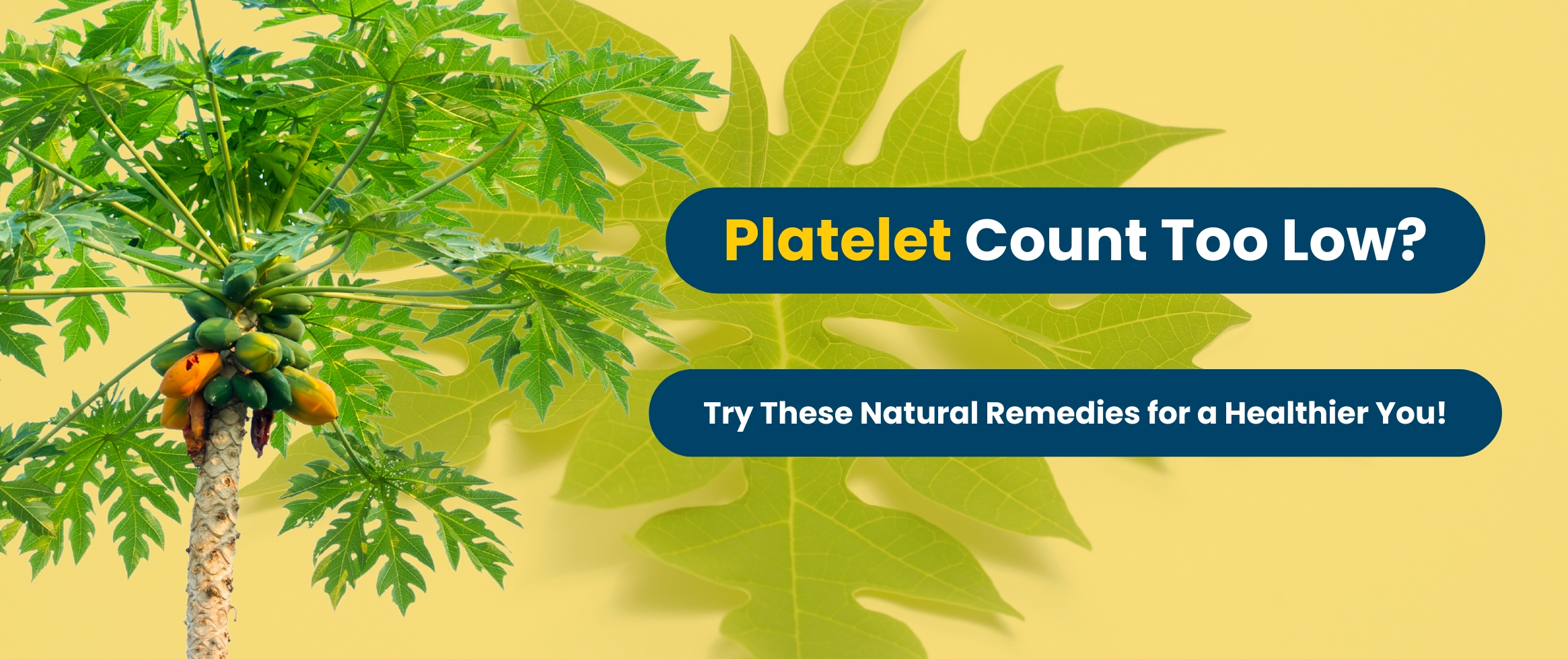 blood platelets count