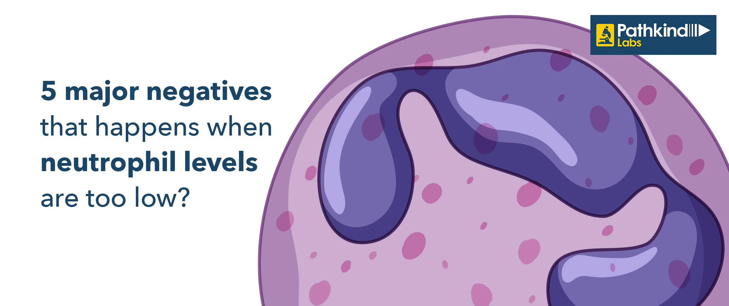 Low Neutrophil Levels