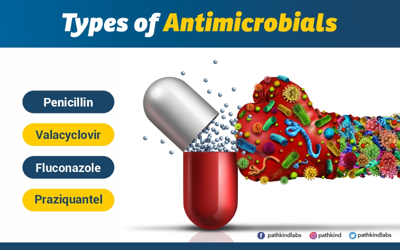 Types of Antimicrobial Resistance