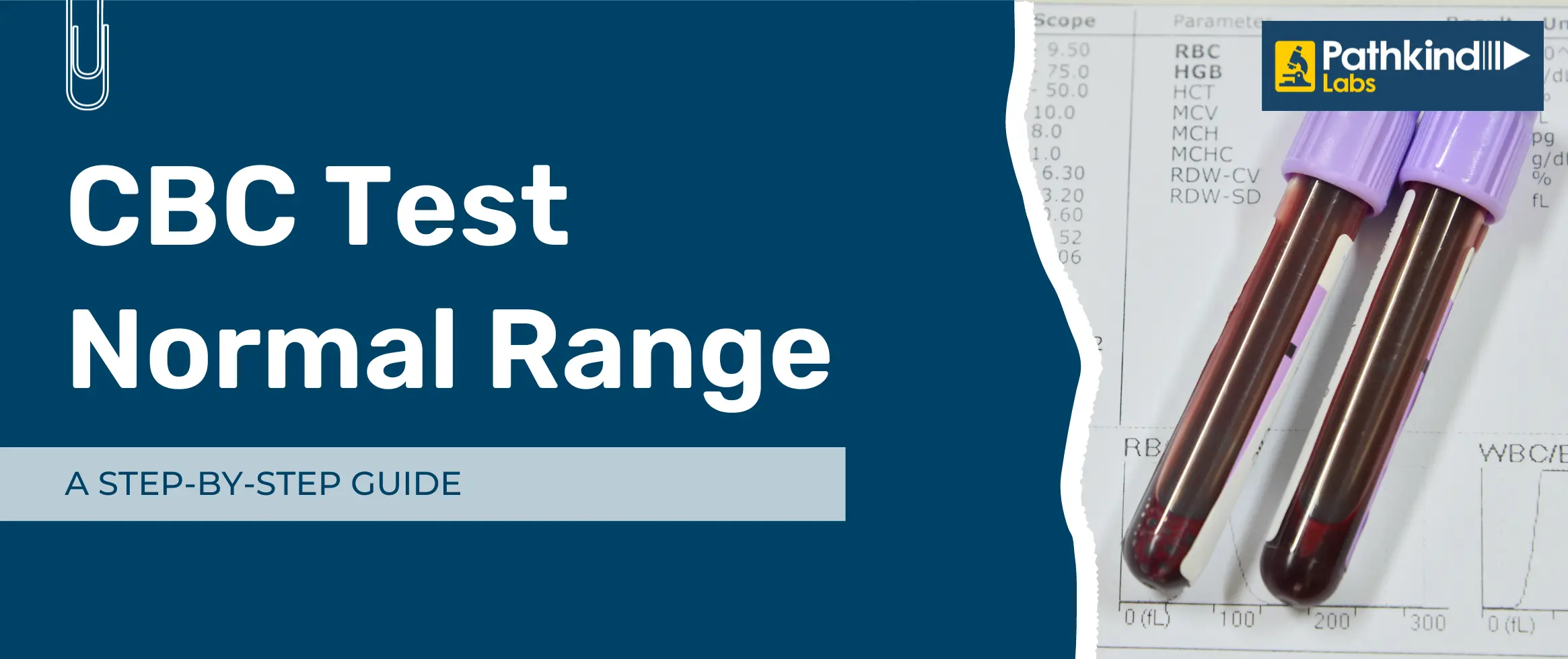 Understanding the CBC Test Normal Range: A Step-by-Step Guide